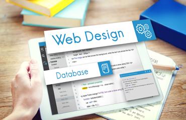 Web Design & Development